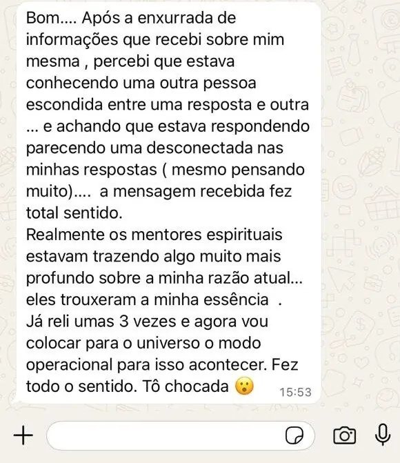 Mensagem: percebi que estava conhecendo uma outra pessoa escondida entre uma resposta e outra. Já reli umas 3 vezes. Fez todo o sentido, tô chocada.